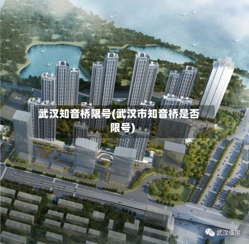 武汉知音桥限号(武汉市知音桥是否限号)-第3张图片