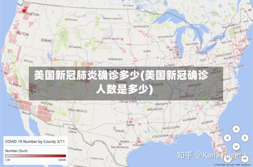 美国新冠肺炎确诊多少(美国新冠确诊人数是多少)