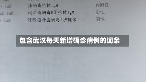 包含武汉每天新增确诊病例的词条-第3张图片