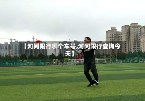 【河间限行哪个车号,河间限行查询今天】-第3张图片