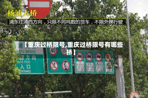 【重庆过桥限号,重庆过桥限号有哪些挢】-第2张图片