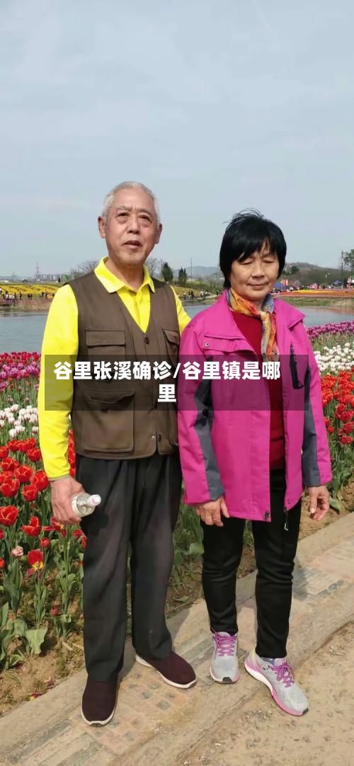 谷里张溪确诊/谷里镇是哪里
