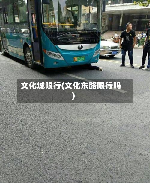 文化城限行(文化东路限行吗)-第2张图片