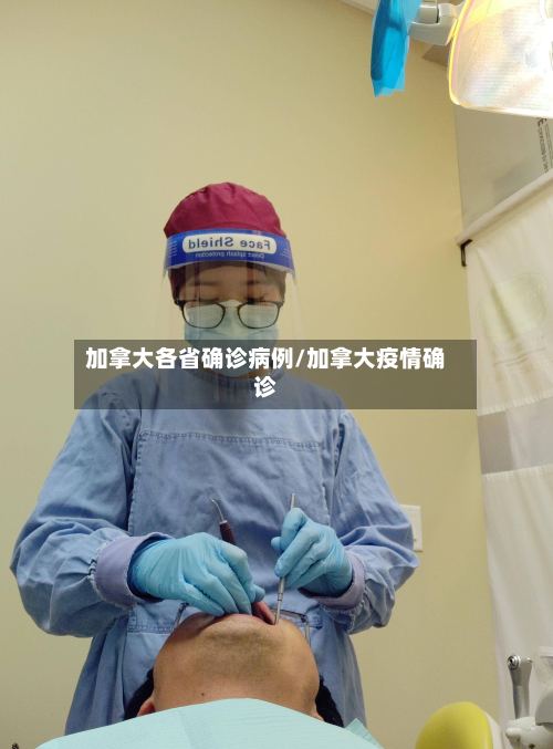加拿大各省确诊病例/加拿大疫情确诊