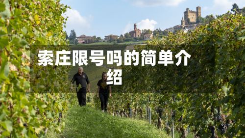 索庄限号吗的简单介绍