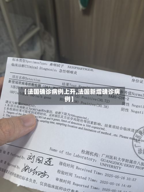【法国确诊病例上升,法国新增确诊病例】-第2张图片