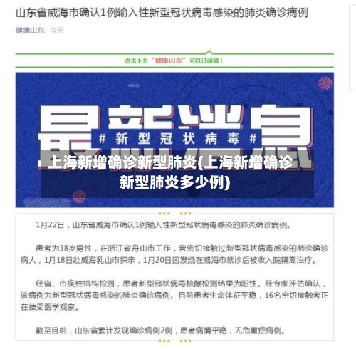 上海新增确诊新型肺炎(上海新增确诊新型肺炎多少例)-第2张图片