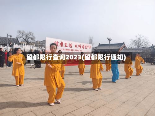 望都限行查询2023(望都限行通知)-第2张图片