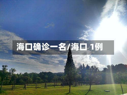 海口确诊一名/海口 1例