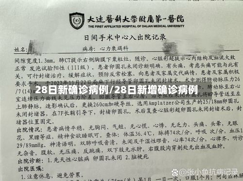 28日新确诊病例/28日新增确诊病例