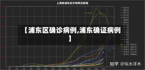 【浦东区确诊病例,浦东确证病例】-第2张图片