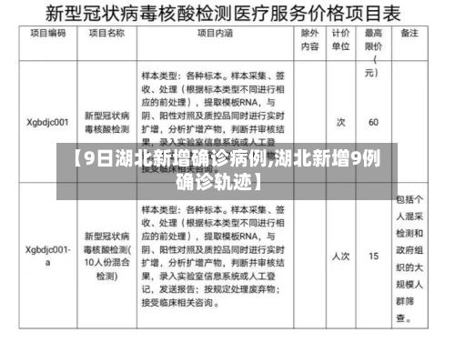 【9日湖北新增确诊病例,湖北新增9例确诊轨迹】