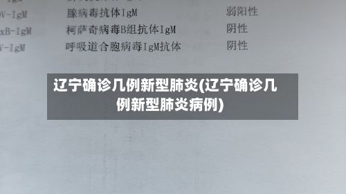 辽宁确诊几例新型肺炎(辽宁确诊几例新型肺炎病例)-第3张图片