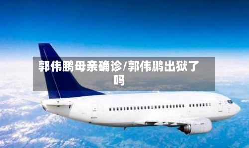 郭伟鹏母亲确诊/郭伟鹏出狱了吗-第3张图片