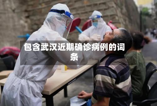 包含武汉近期确诊病例的词条