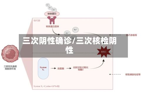 三次阴性确诊/三次核检阴性