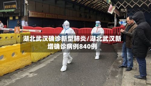 湖北武汉确诊新型肺炎/湖北武汉新增确诊病例840例