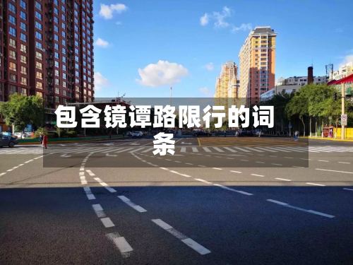 包含镜谭路限行的词条