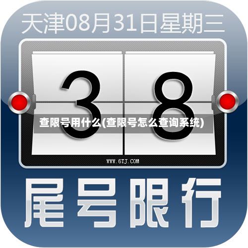 查限号用什么(查限号怎么查询系统)