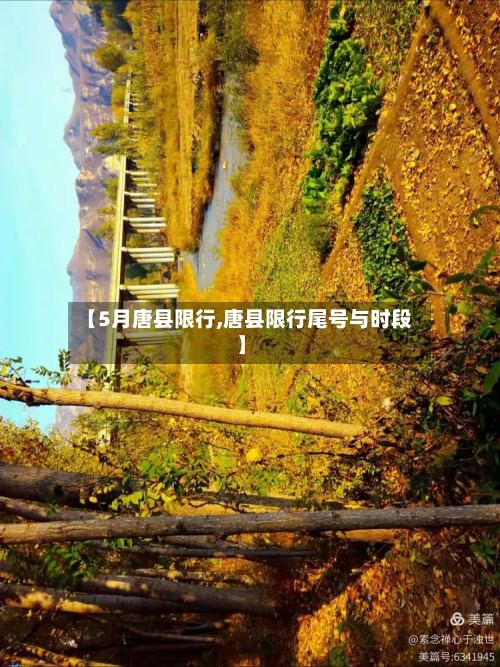 【5月唐县限行,唐县限行尾号与时段】-第2张图片
