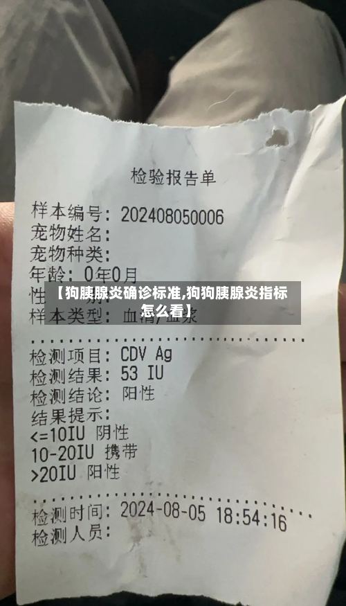 【狗胰腺炎确诊标准,狗狗胰腺炎指标怎么看】