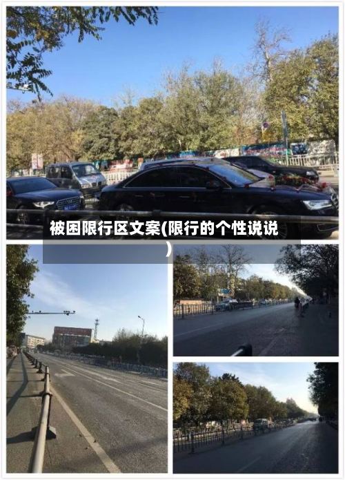 被困限行区文案(限行的个性说说)