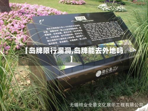 【岛牌限行漏洞,岛牌能去外地吗】-第3张图片