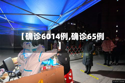 【确诊6014例,确诊65例】-第3张图片