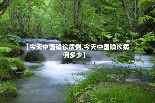 【今天中国确诊病例,今天中国确诊病例多少】