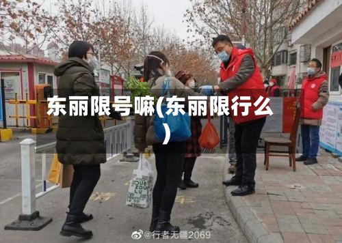 东丽限号嘛(东丽限行么)-第2张图片