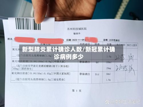 新型肺炎累计确诊人数/新冠累计确诊病例多少