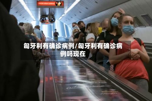 匈牙利有确诊病例/匈牙利有确诊病例吗现在-第2张图片