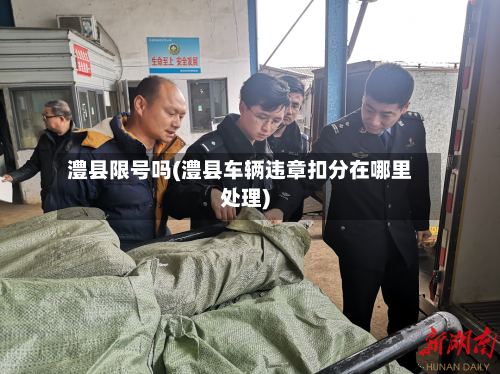 澧县限号吗(澧县车辆违章扣分在哪里处理)-第2张图片