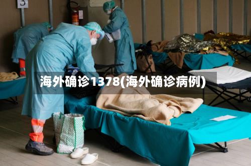 海外确诊1378(海外确诊病例)-第2张图片