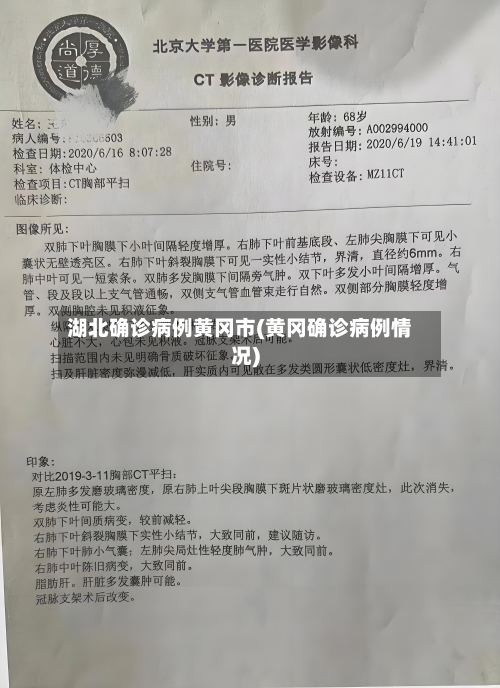 湖北确诊病例黄冈市(黄冈确诊病例情况)-第2张图片