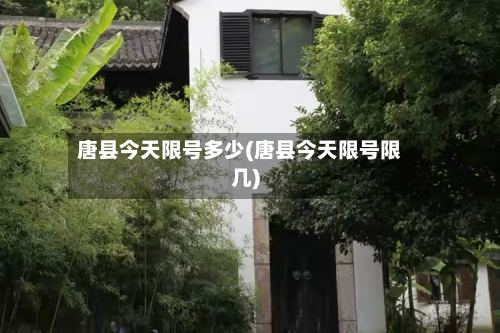 唐县今天限号多少(唐县今天限号限几)-第2张图片