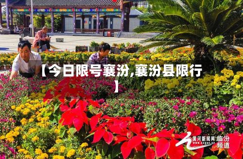 【今日限号襄汾,襄汾县限行】-第3张图片