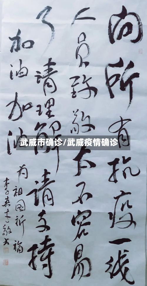武威市确诊/武威疫情确诊-第2张图片