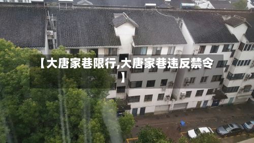 【大唐家巷限行,大唐家巷违反禁令】-第2张图片