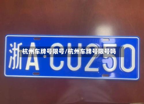 杭州车牌号限号/杭州车牌号限号吗-第2张图片