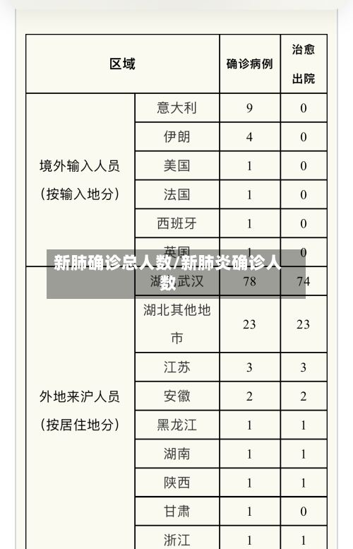 新肺确诊总人数/新肺炎确诊人数-第3张图片
