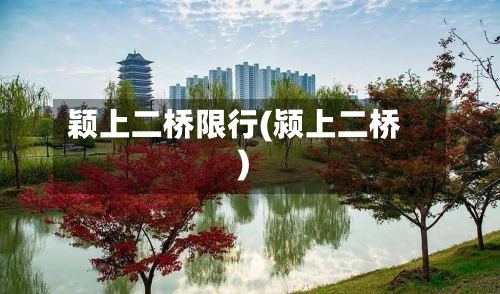 颖上二桥限行(颍上二桥)