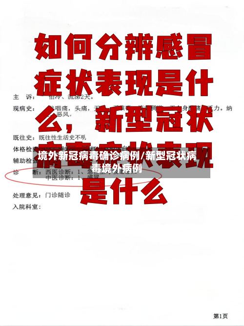 境外新冠病毒确诊病例/新型冠状病毒境外病例-第3张图片