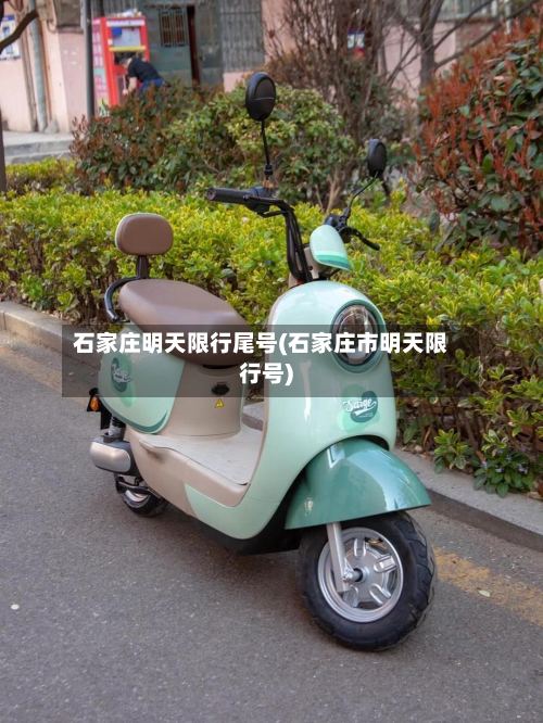 石家庄明天限行尾号(石家庄市明天限行号)
