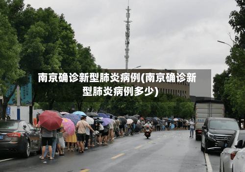 南京确诊新型肺炎病例(南京确诊新型肺炎病例多少)-第3张图片
