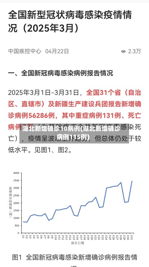 湖北新增确诊10病例(湖北新增确诊病例115例)-第2张图片