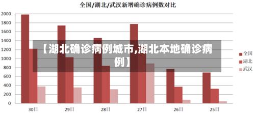 【湖北确诊病例城市,湖北本地确诊病例】-第3张图片