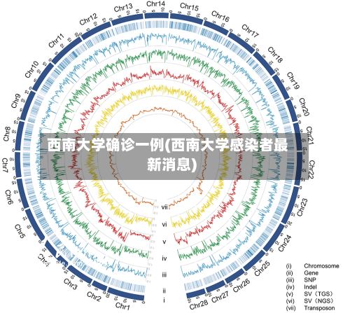 西南大学确诊一例(西南大学感染者最新消息)