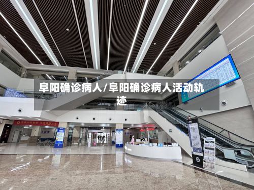 阜阳确诊病人/阜阳确诊病人活动轨迹