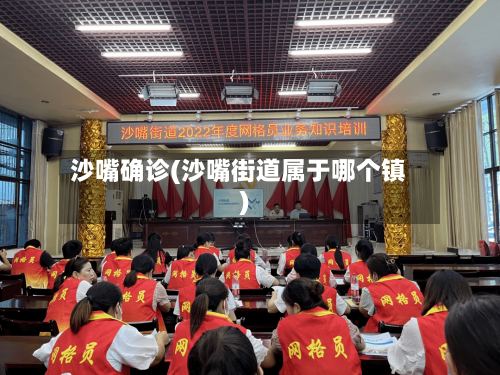 沙嘴确诊(沙嘴街道属于哪个镇)-第2张图片